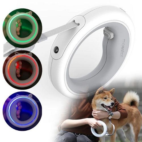 Dog Leash Ring LED: Safer Walks, Happier Pups - Aquan Express