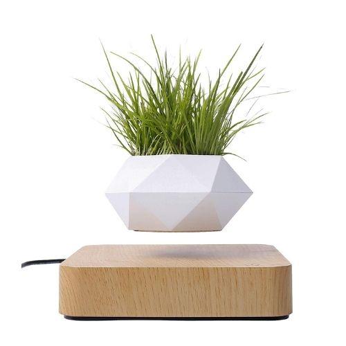 Levitating Flower Pot: Elevate Your Floral Display with Magic - Aquan Express